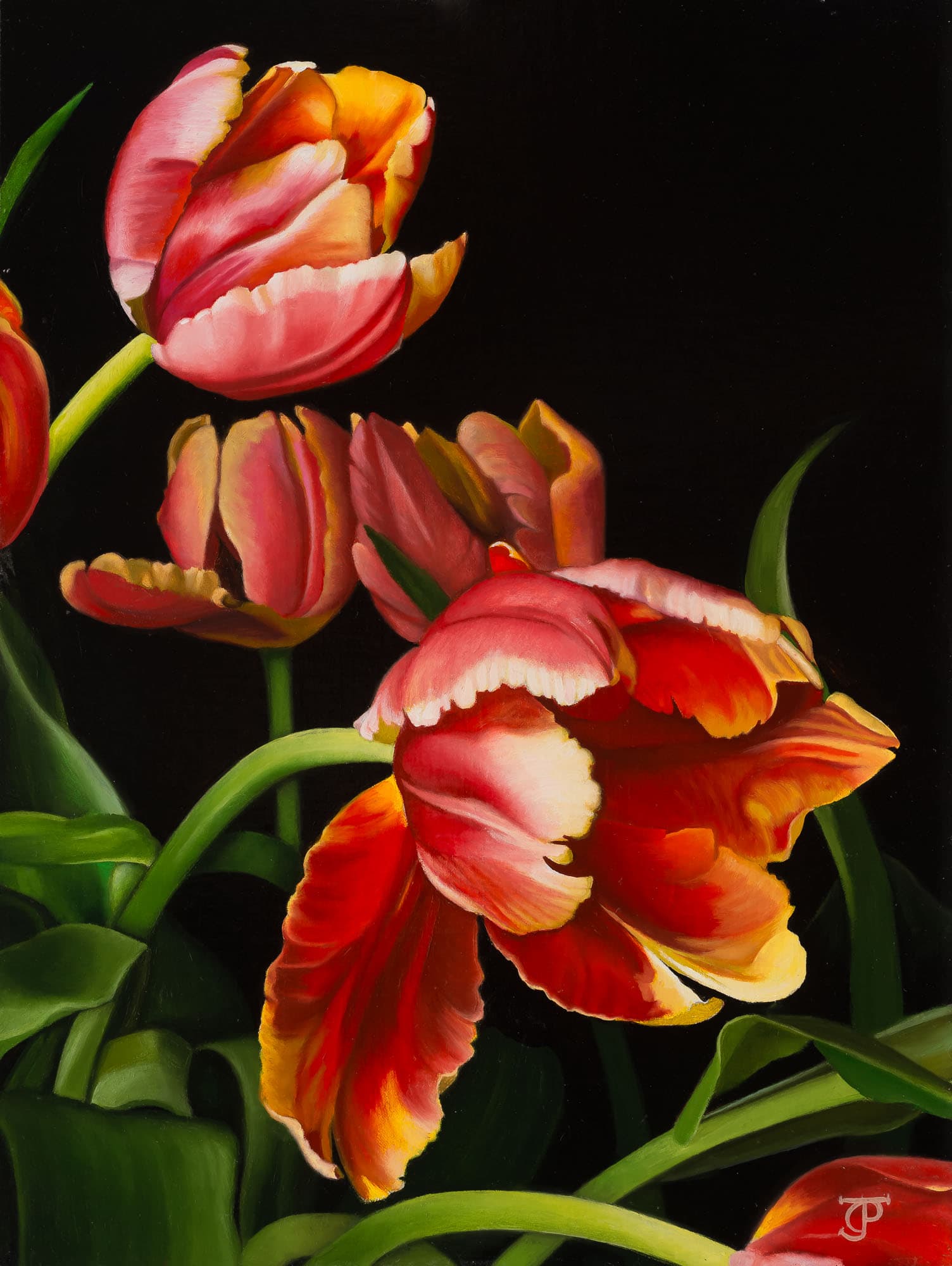 Dutch Delight — oil painting by Dyan J. Padgett
