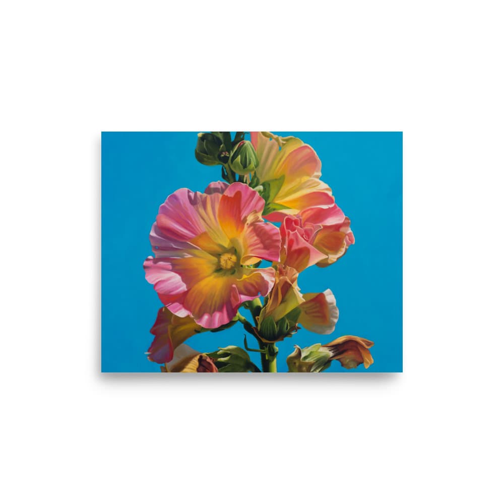 Preview of Hollyhock as a fine art print