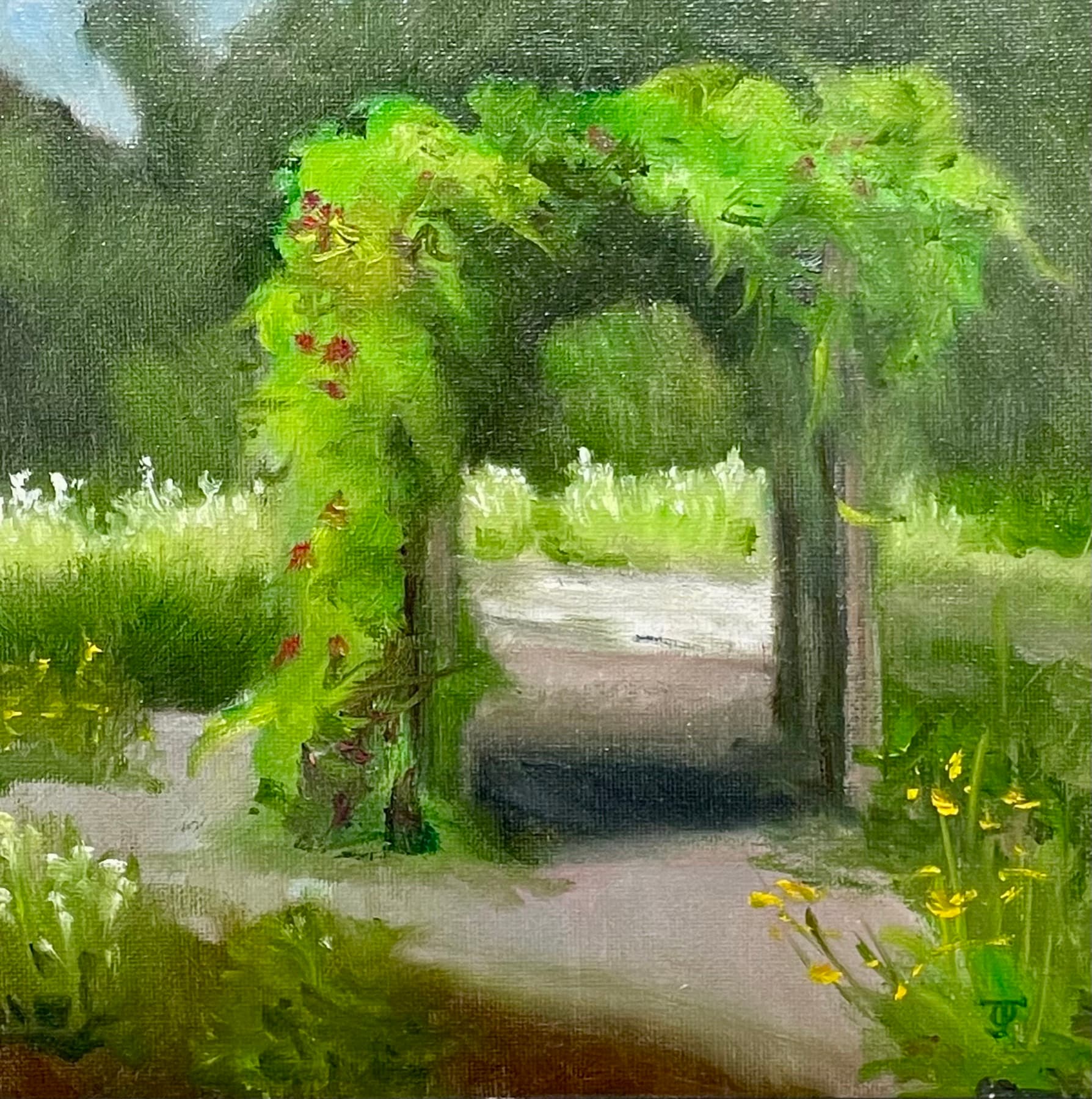 Sanctuary — Oil